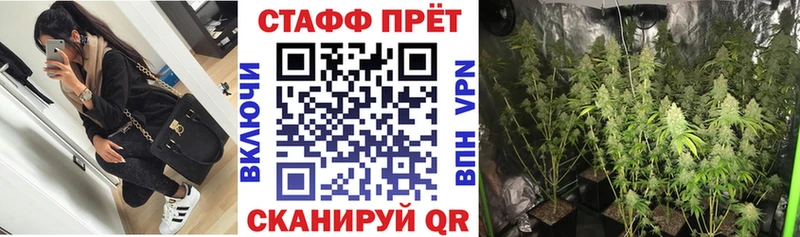 Виды наркотиков купить Павловск A PVP  Меф  КОКАИН 