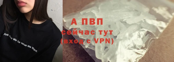 PSILOCYBIN Богородск