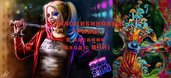 mdpv Пестово