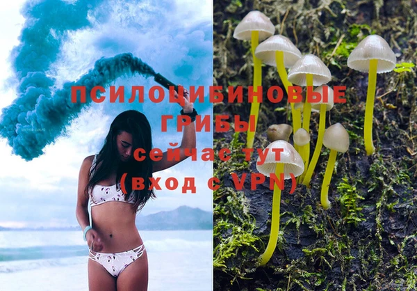 марихуана Богородицк