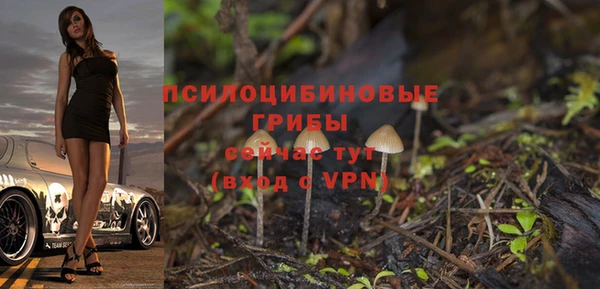 марихуана Богородицк