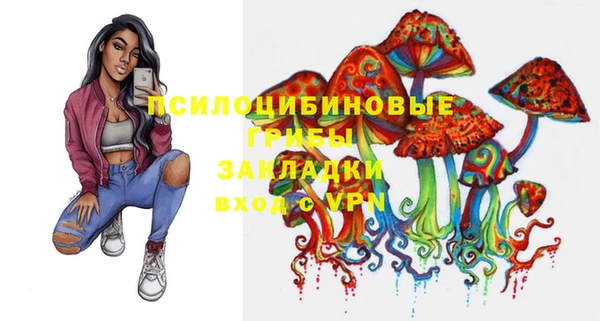 PSILOCYBIN Богородск