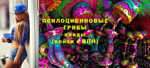 PSILOCYBIN Богородск