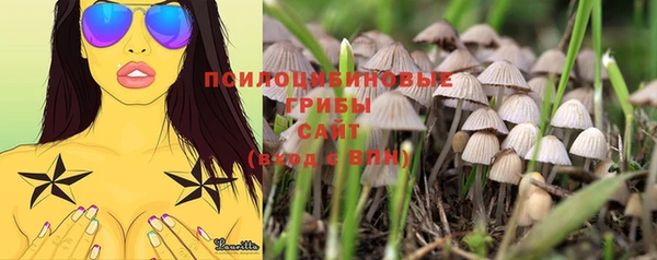 PSILOCYBIN Богородск