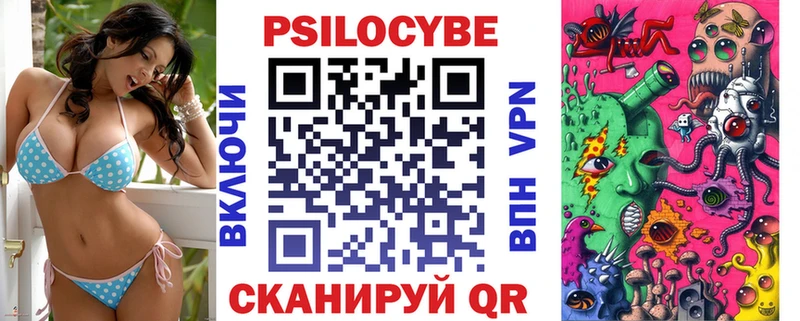 mega ССЫЛКА Павловск Галлюциногенные грибы Psilocybe